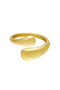 Ring Twist